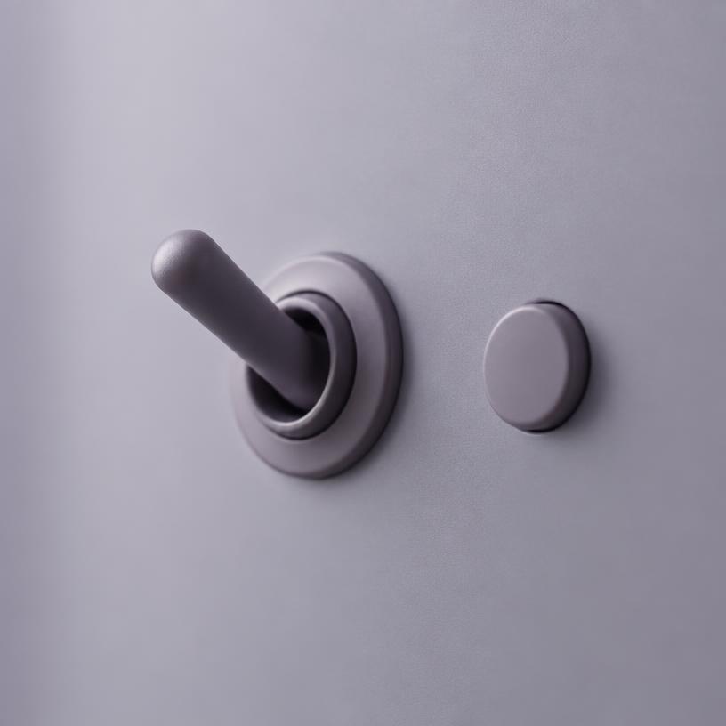 A simple toggle switch and button